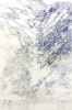 Voda (Hefei) - 2006, pero na pauzku, 120x80cm