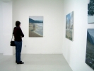  Pictures - Art Gallery of Nove Zamky City - 2006